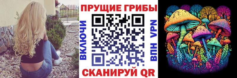 площадка формула  Александровск-Сахалинский  Псилоцибиновые грибы Magic Shrooms 