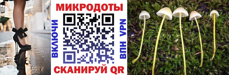 Галлюциногенные грибы Magic Shrooms Александровск-Сахалинский