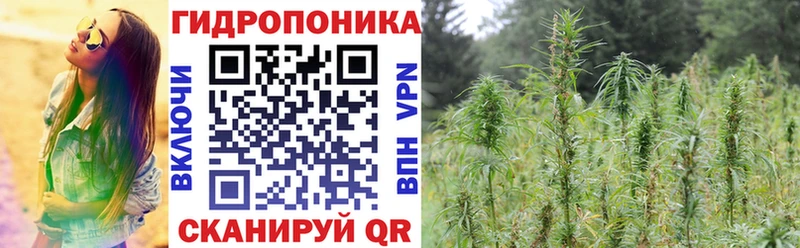 МАРИХУАНА конопля  продажа наркотиков  Александровск-Сахалинский 